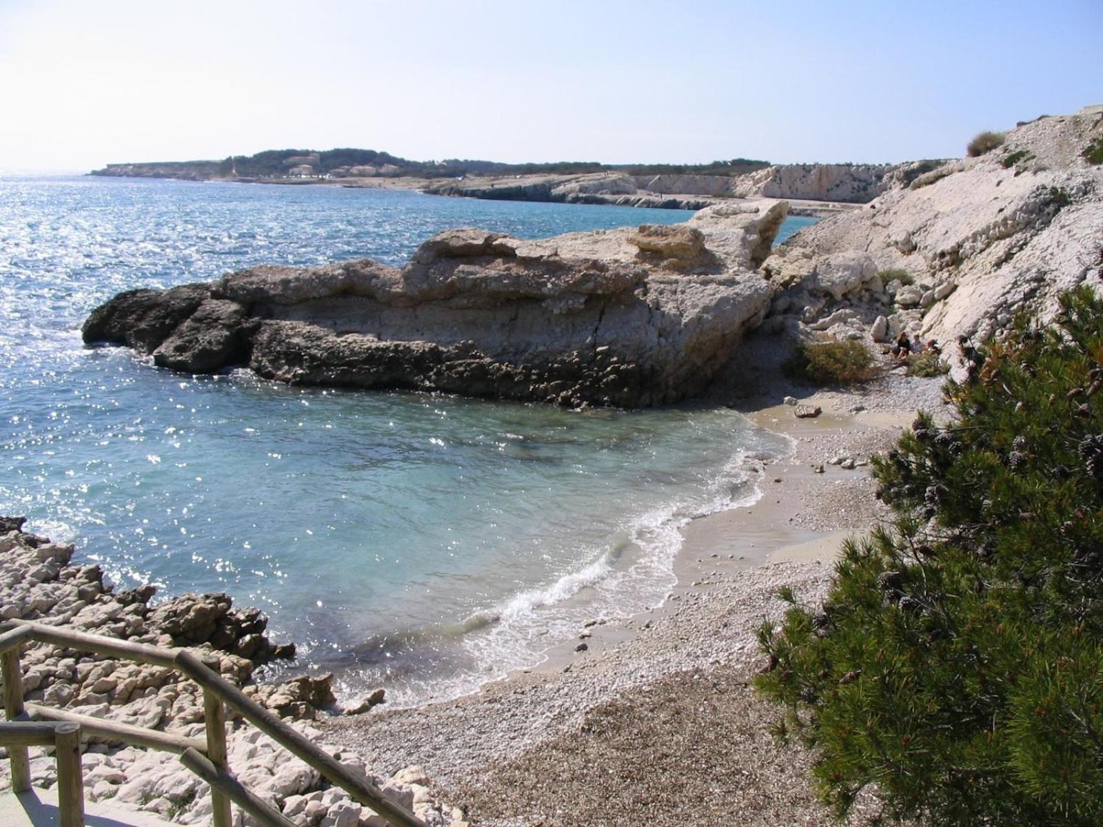 *Tiny Jungle* / Plage, Port Et Commerces A Pied Сосе-ле-Па Екстериор снимка